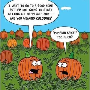 Meet your Posher, Brandi